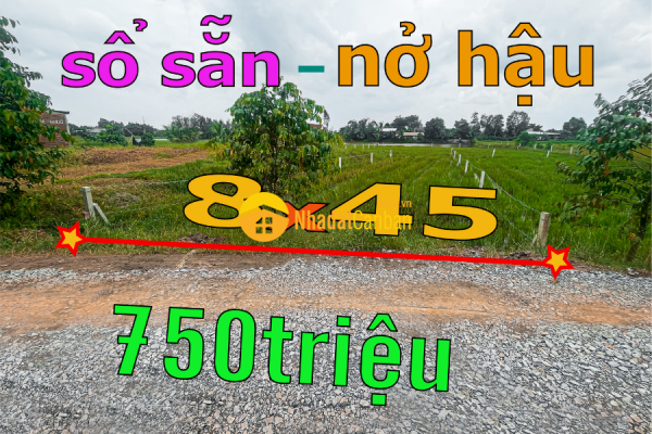 m_TFCW34JRM0_1665218091.png