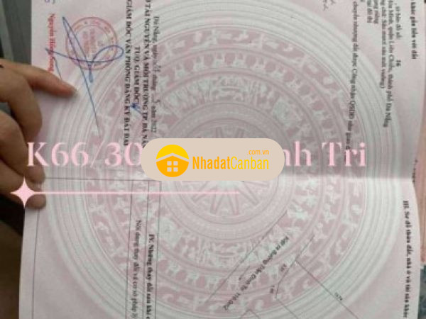 998478181665336410.jpg