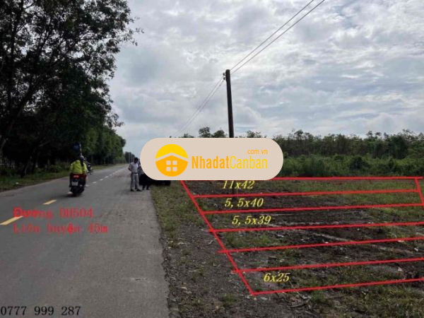 998626211665392632.jpg