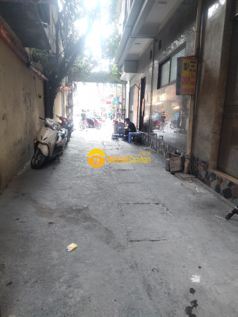 8935364_nA1sz6OGBE_1665974312.jpg