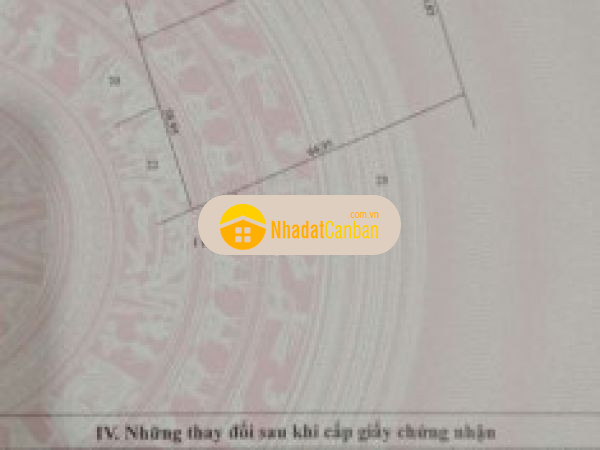 998117021666225114.jpg