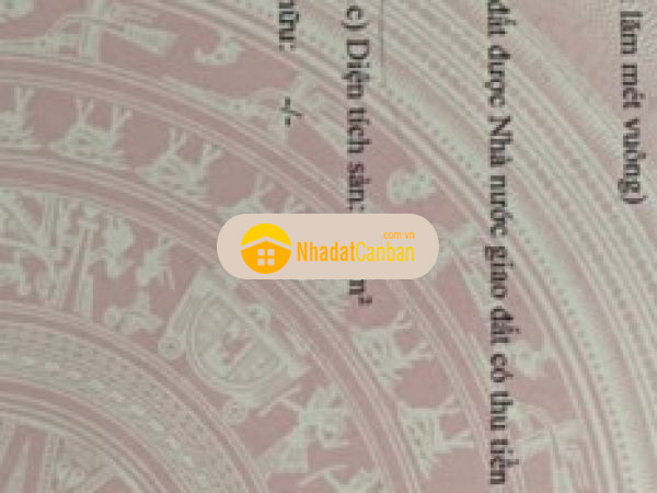 996743141667143217.jpg