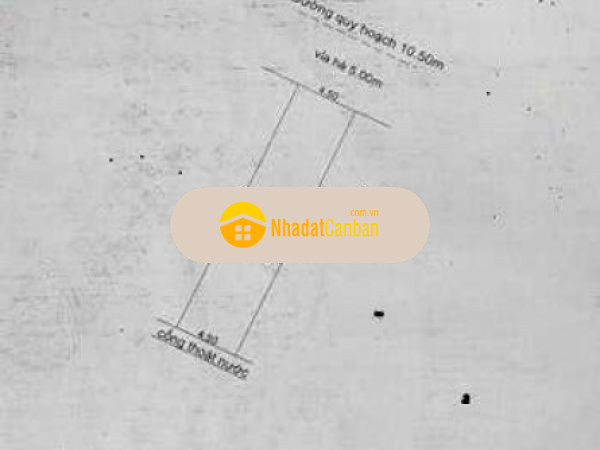 1006865801667441134.jpg