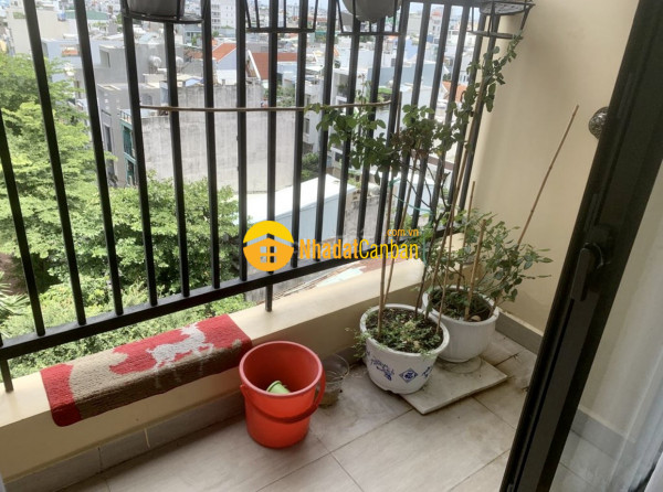 8968677_rp1J67ODMi_1667548244.jpg
