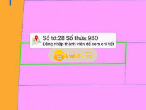 1009638441668150797.jpg