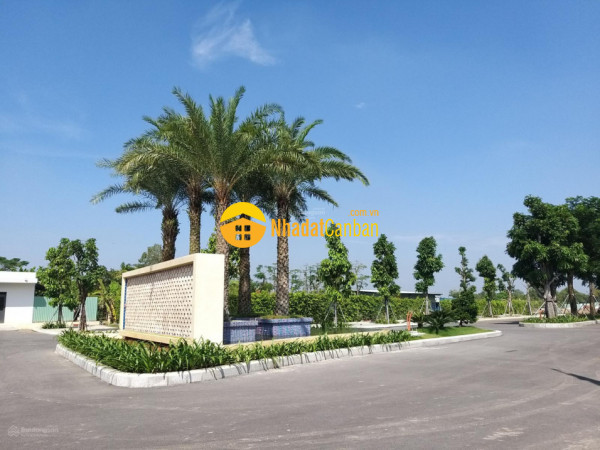 m_enViGOhoMg_1668997212.jpg