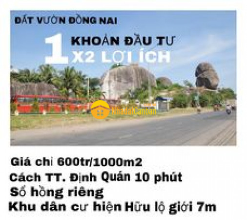 m_GxuXyz89Dv_1669188539.jpg