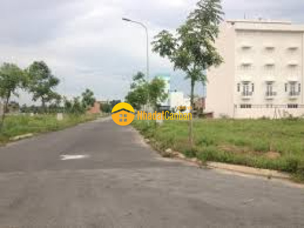 9008577_V23GkTIydN_1669455522.jpg