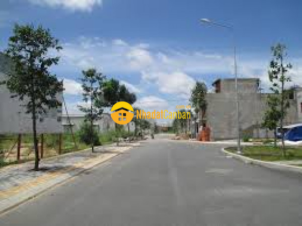 9008581_QZUeIGgito_1669455751.jpg