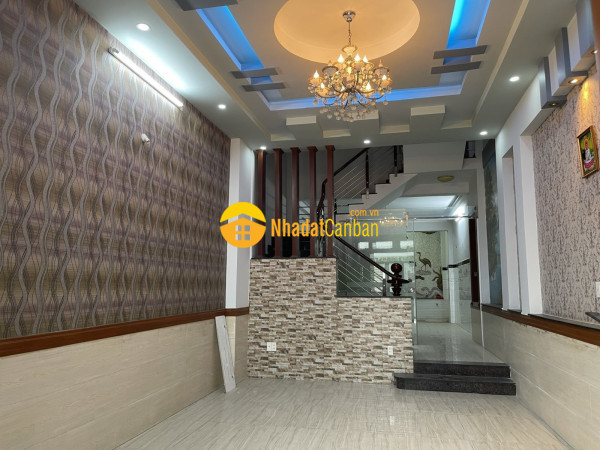 9019532_JW2m9NAqzH_1671425496.jpg