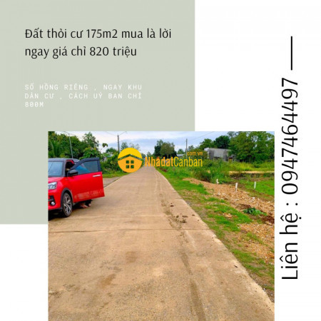 m_qN1bgvDnwH_1671874116.jpg