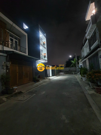 9026919_NRCI4upDq1_1675754359.jpg