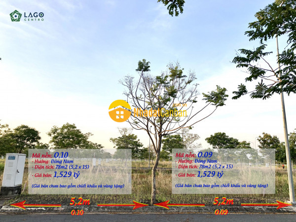 9027390_z2CFqsQMaK_1675914029.jpg