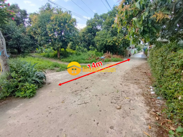 m_TKNDO3pxCV_1676681324.jpg