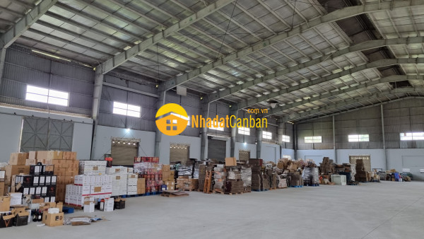 9035335_Sze5Rfj7lu_1678181942.jpg