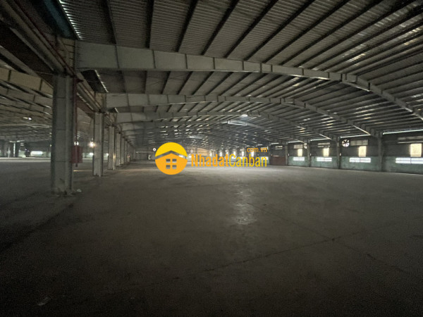9035930_hxfN9lQEei_1678346728.jpg