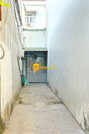 m_viDnu8P5xY_1679017308.jpg