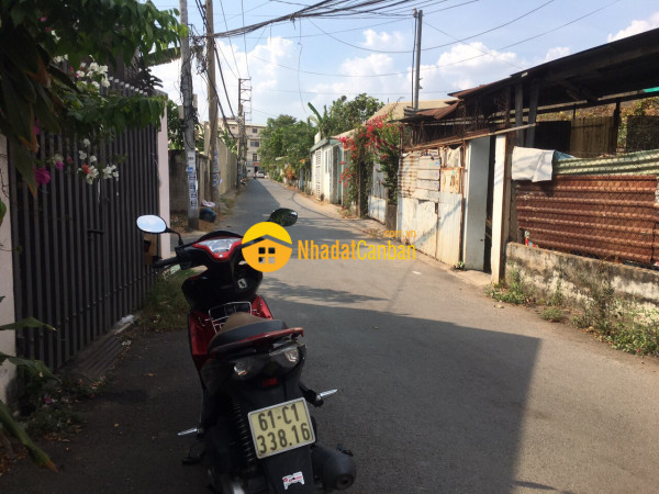 m_RexbndOWzu_1680511509.jpg