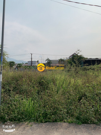 9043991_CY2DVfPtLG_1680571531.jpg