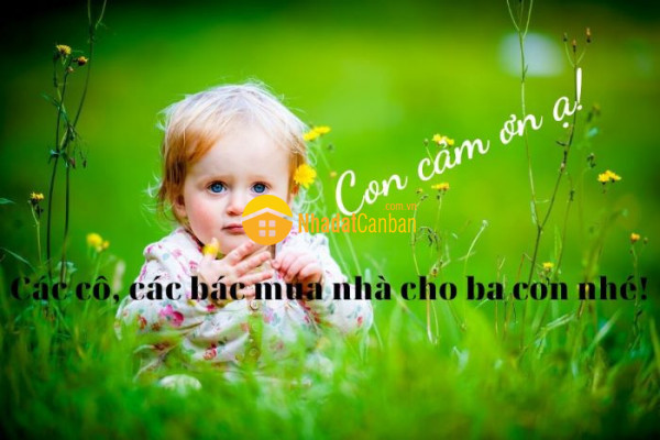 9046420_bPYtMyHu4U_1681199190.jpg