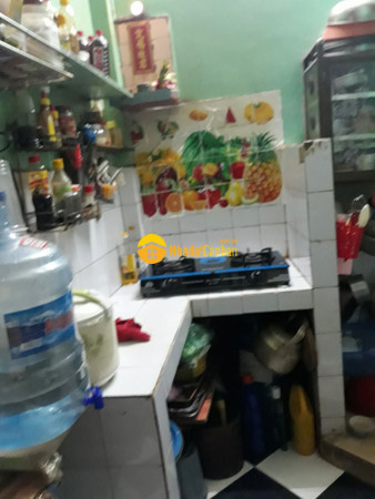 9052287_AvtHxGOsbo_1683169539.jpg