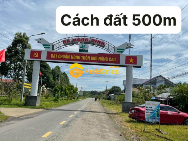 9052846_xQgao5IEis_1683343407.jpg