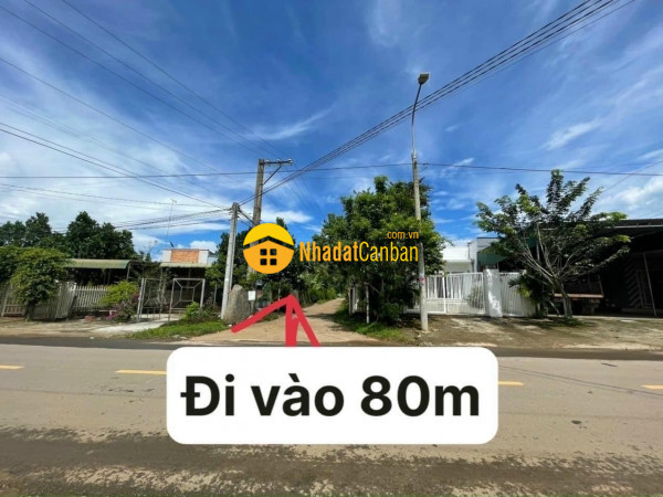 9053141_vRLwdZVhtm_1683508869.jpg