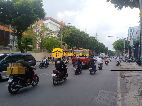 9054989_SFdPEuajWZ_1684120093.jpg