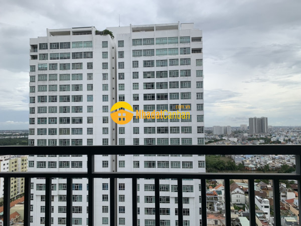 9056425_18Jn9sgFI6_1684472481.jpg