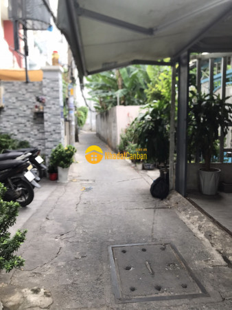 9058158_RTPV1qUniL_1685004994.jpg