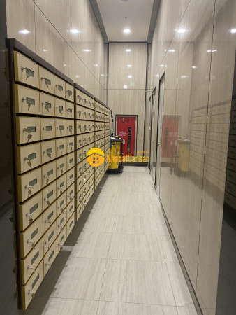 9059376_1aFAzyEpiT_1685437486.jpg