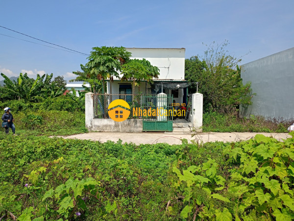m_NkSpKQhMv3_1686042358.jpg