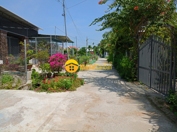 9061106_ZQn7NUXkRA_1686105671.jpg