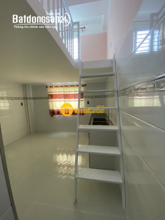 9066572_s8oVUcjkT9_1687927965.jpg