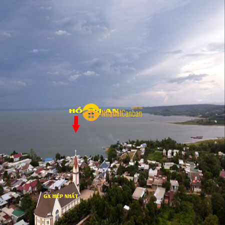 9030927_MVn9TYEtyj_1688699645.jpg