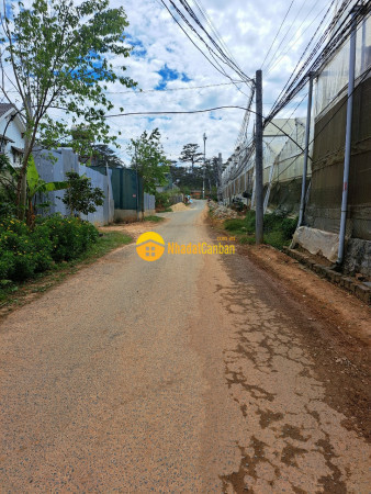 m_DIYpZH4hlA_1690798885.jpg