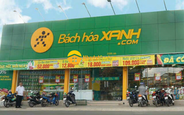 9079834_iEah80mORH_1692896618.jpg