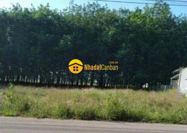 9083329_EKHtah4U7N_1694501945.jpg