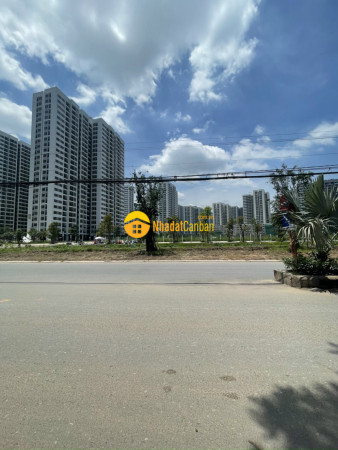9088661_U6KPuL7X0m_1696477702.jpg
