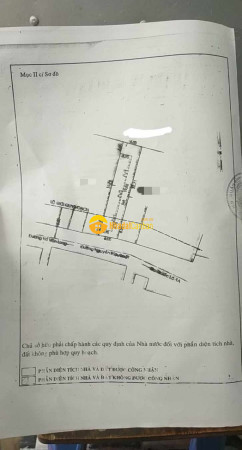 m_LkJGY0T3UW_1697597003.jpg