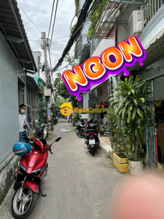 9097831_CN1vjmuwt3_1699953351.jpg