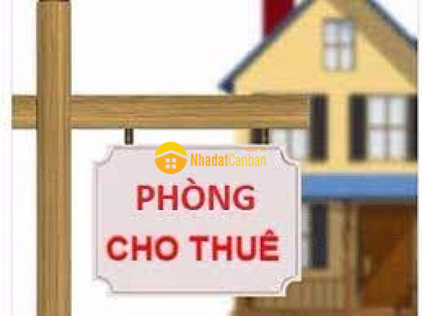 m_uOUAB5jFib_1703305532.jpg