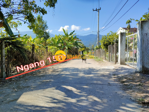 m_KxAIezuCaw_1708702009.jpg
