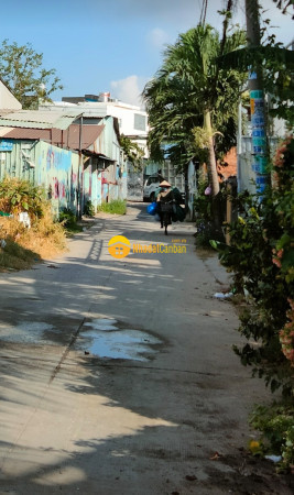 9128684_dVjs65ASfm_1714209053.jpg