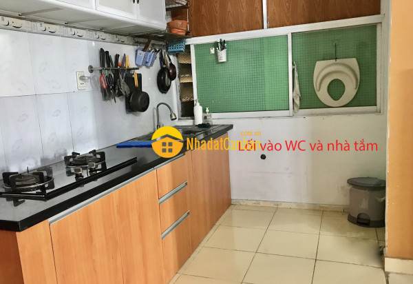 9129382_TQqFLMUoWe_1714700650.jpg