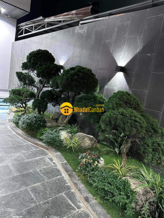 m_hk6fLObcGq_1717129827.jpg
