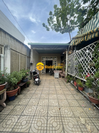 9135357_iPJAntC1Br_1717401000.jpg