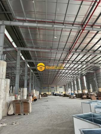 9136403_JIrOo1QvNd_1717759583.jpg