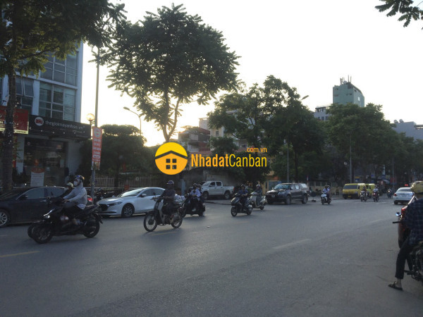 m_mjVazADt5W_1717908158.jpg