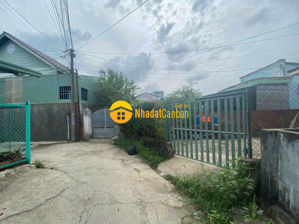 9139448_WIAbmGxPUu_1719226721.jpg